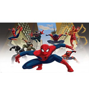 Fototapeta vliesová: Spiderman (1) - 208x146 cm