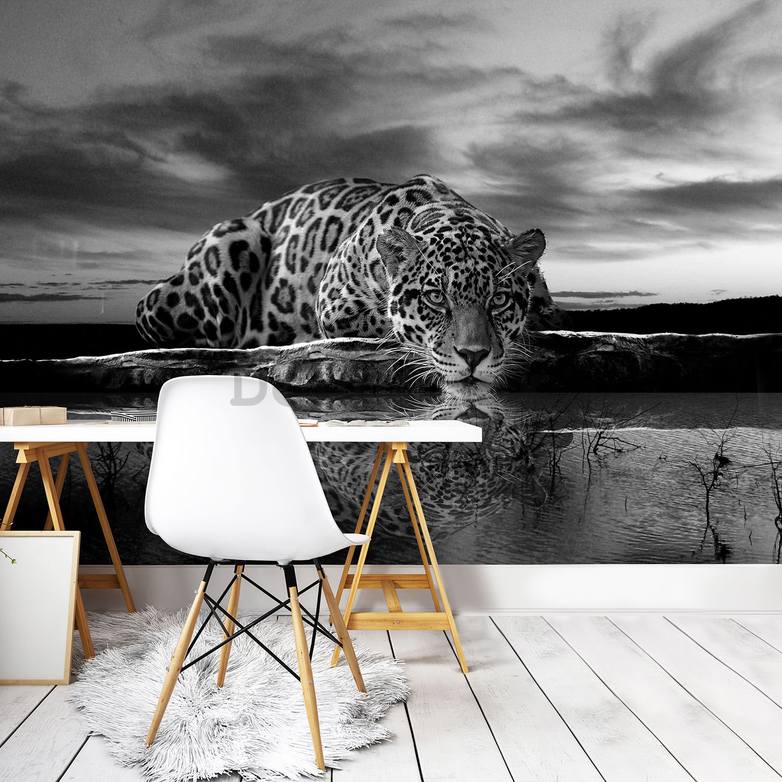 Fototapeta vliesová: Jaguar (čiernobiely) - 208x146 cm