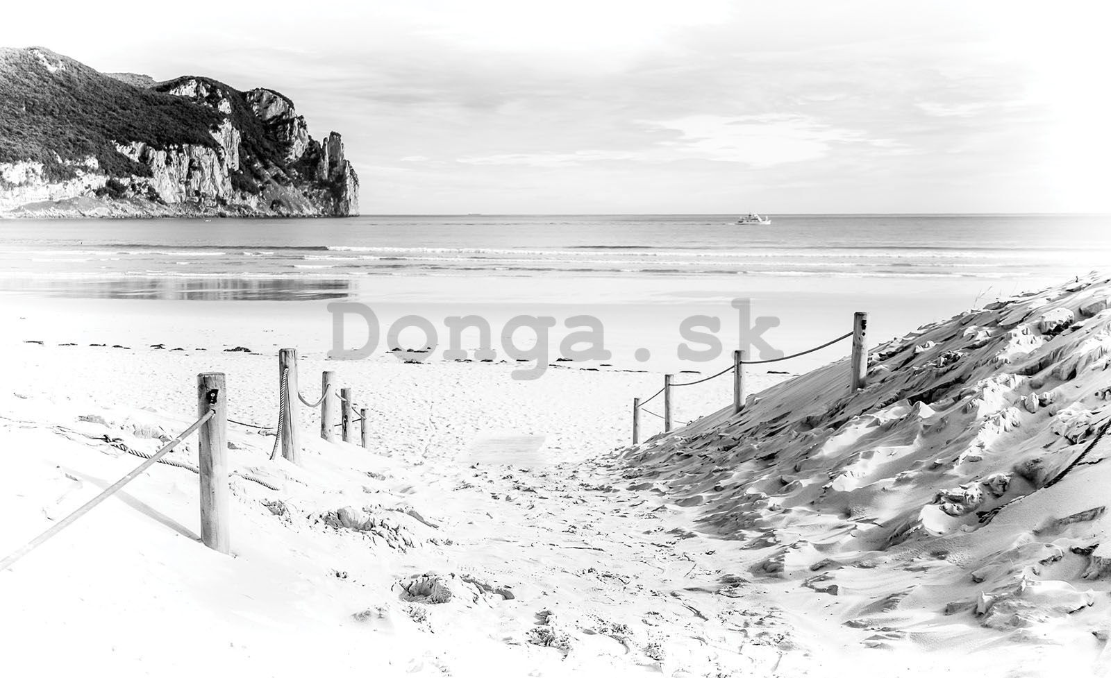 Fototapeta vliesová: Piesková pláž (čiernobiela) - 208x146 cm