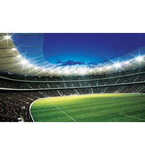 Fototapeta vliesová: Futbalový Štadión (1) - 208x146 cm