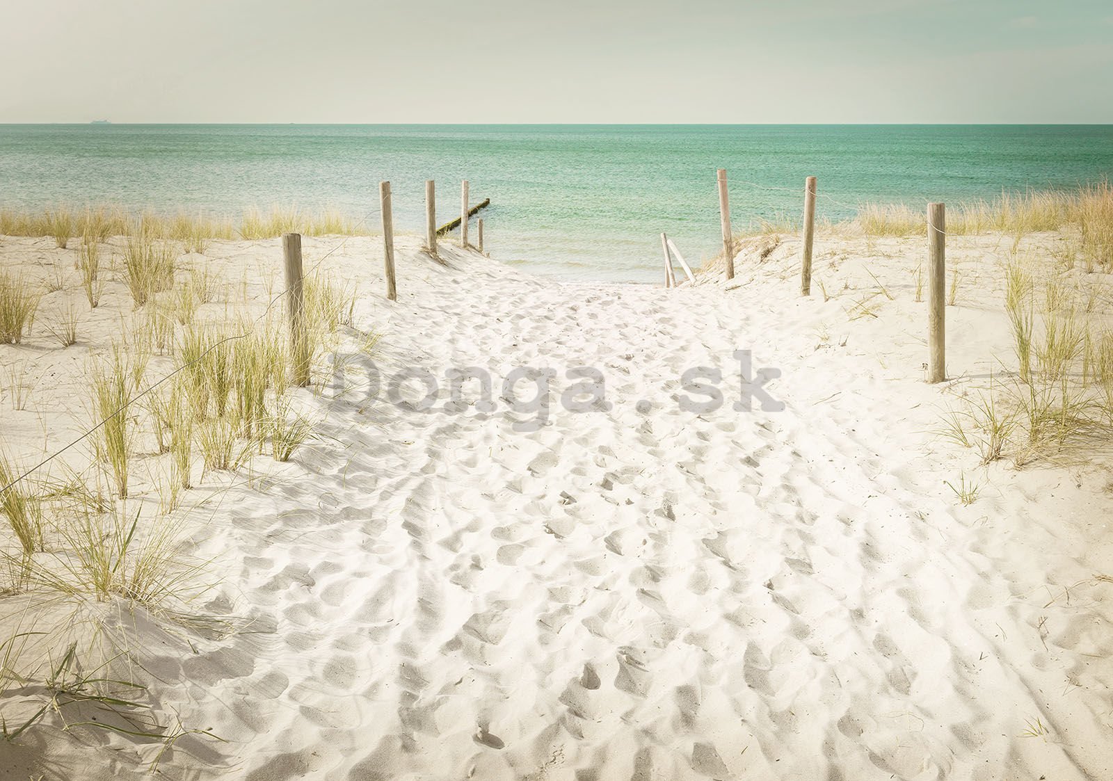 Fototapeta: Cesta na pláž (13) - 368x254 cm