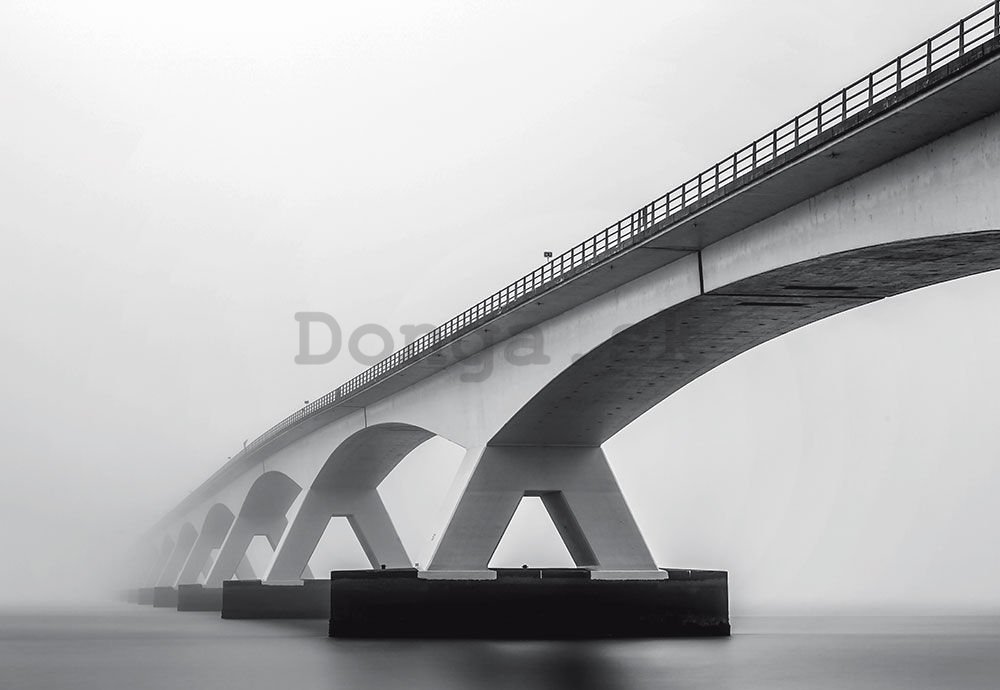 Fototapeta: Most (odstíny šedé) - 368x254 cm