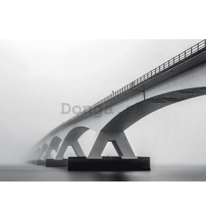 Fototapeta: Most (odstíny šedé) - 368x254 cm