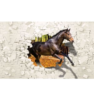 Fototapeta vliesová: Kôň zo steny  - 104x70,5cm