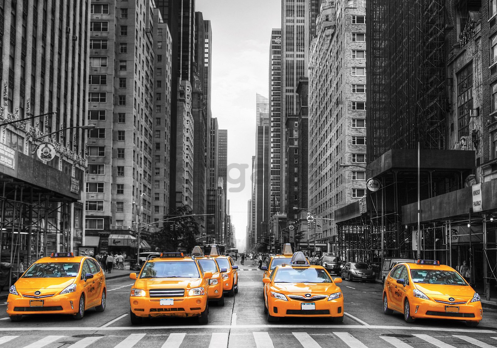 Fototapeta vliesová: NYC Taxi - 350x245 cm