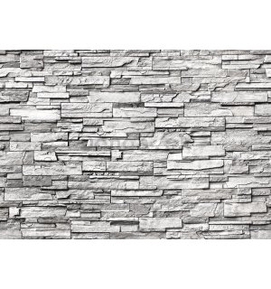 Fototapeta vliesová: Kamenná zeď (šedá) - 400x280 cm