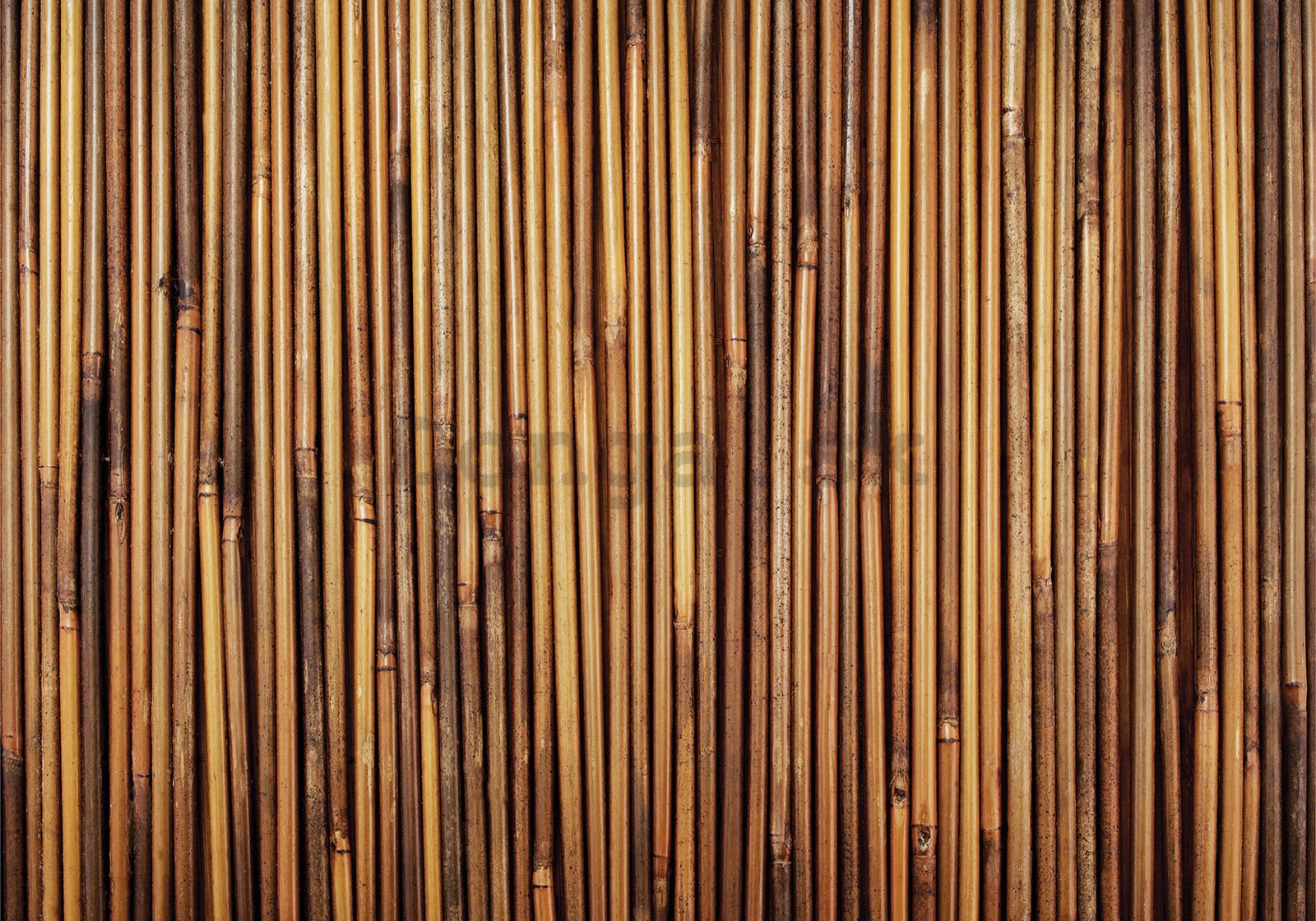 Fototapeta vliesová: Obklad z bambusu - 400x280 cm
