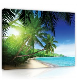 Obraz na plátne: Raj na pláži - 80x60 cm