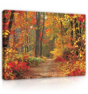 Obraz na plátne: Jesenný les - 80x60 cm