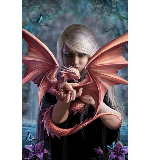 Plagát - Anne Stokes, Dragonkin
