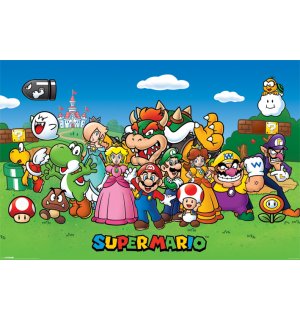 Plagát - Super Mario (hrdinovia)