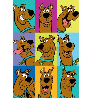 Plagát - Scooby Doo (The Many Faces Of Scooby Doo)
