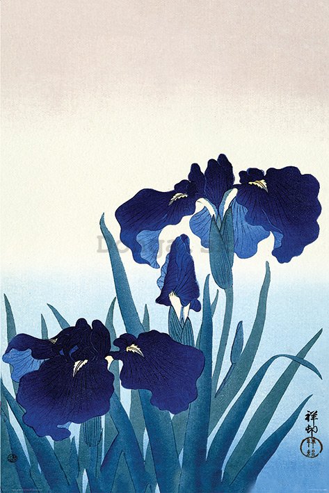 Plagát - Ohara Koson, Iris Flowers