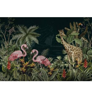 Fototapeta vliesová: Plameňáci a žirafa - 254x184 cm