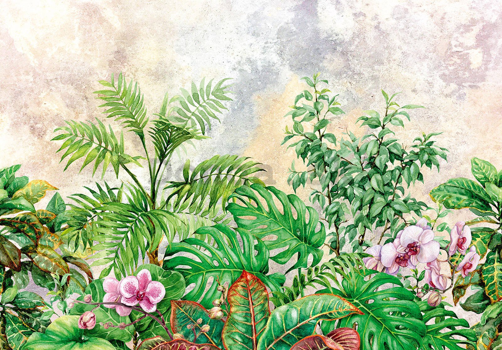 Fototapeta vliesová: Malované rostliny - 254x184 cm