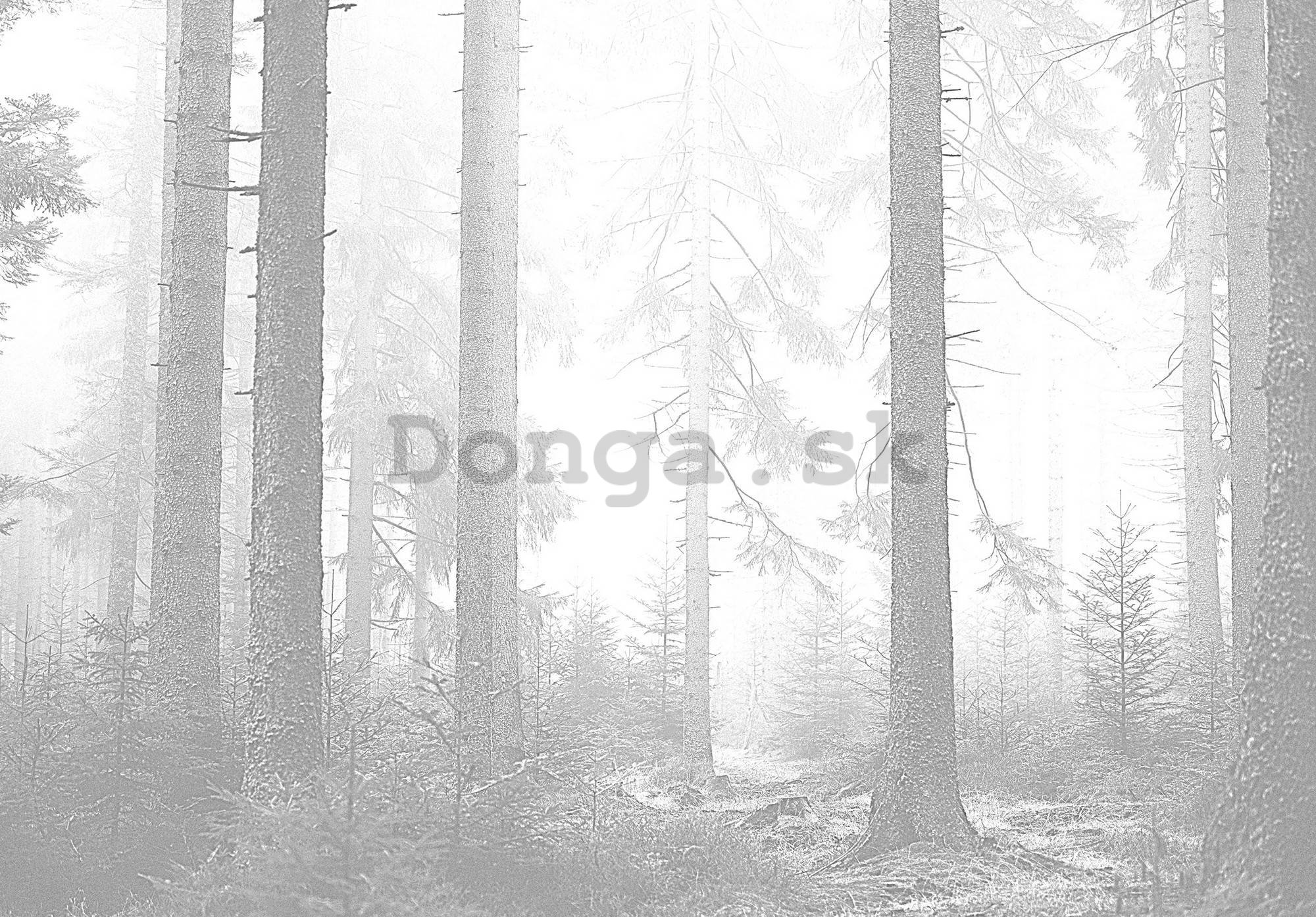 Fototapeta vliesová: Černobílý les (3) - 254x184 cm