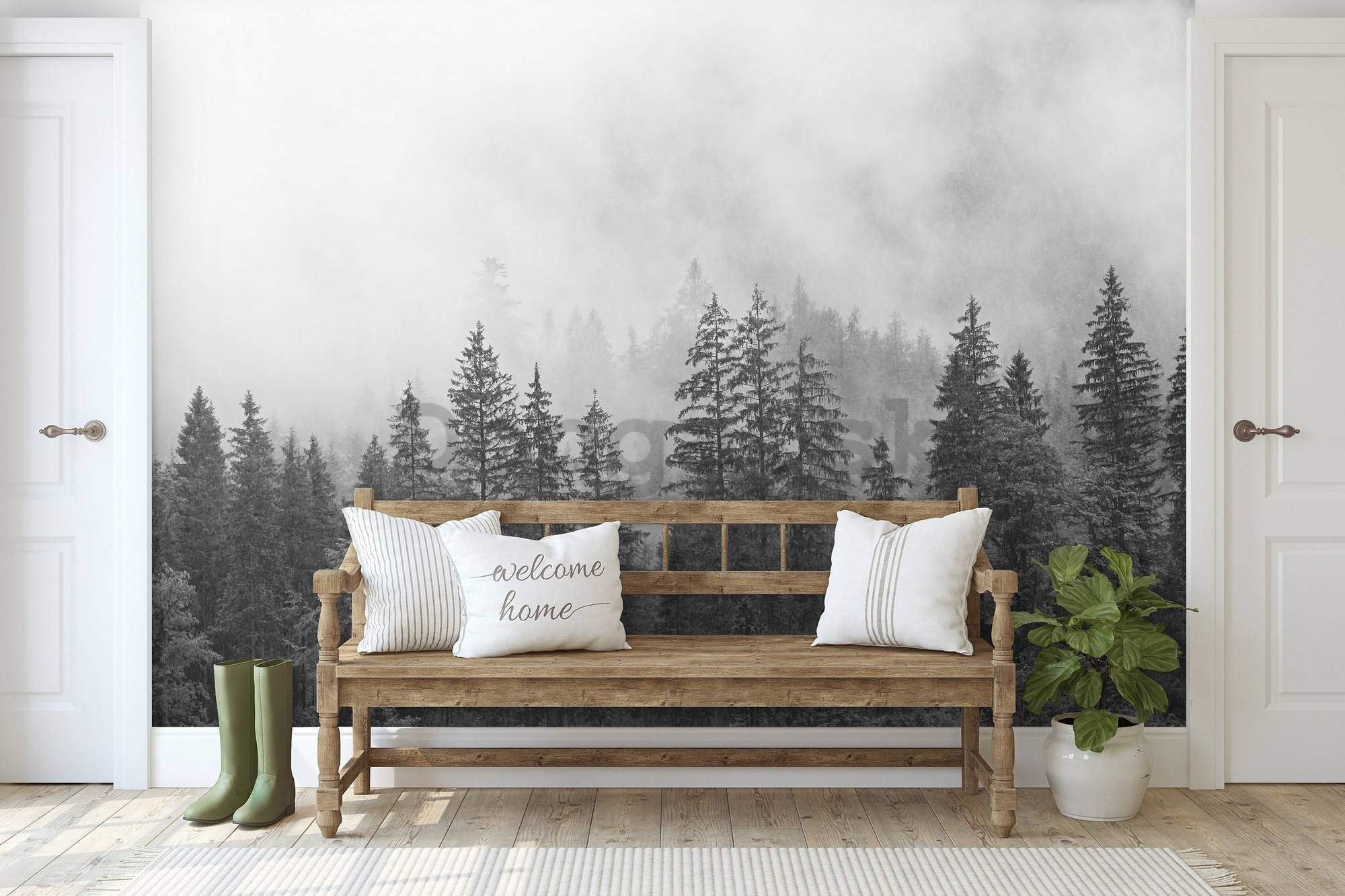 Fototapeta vliesová: Mlha nad černobílým lesem - 254x184 cm