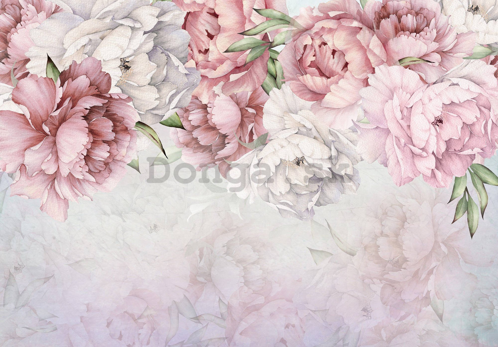 Fototapeta vliesová: Bílé a růžové růže - 254x184 cm