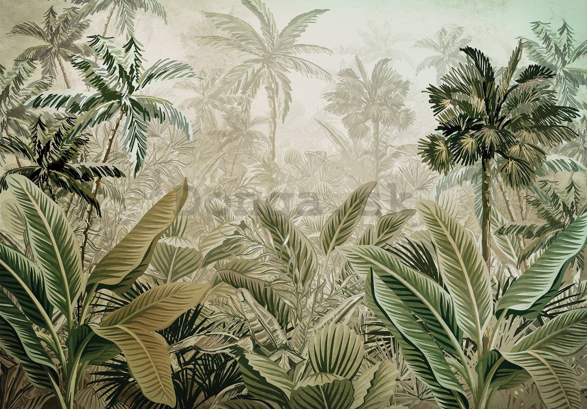 Fototapeta vliesová: Tropická vegetace - 368x254 cm