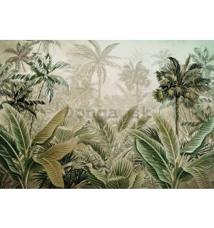 Fototapeta vliesová: Tropická vegetace - 368x254 cm