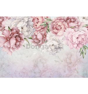Fototapeta vliesová: Bílé a růžové růže - 368x254 cm