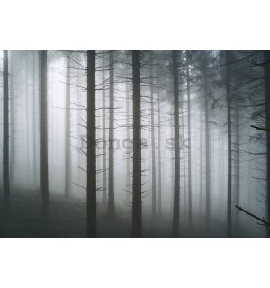Fototapeta vliesová: Strašidelný les (1) - 152,5x104 cm