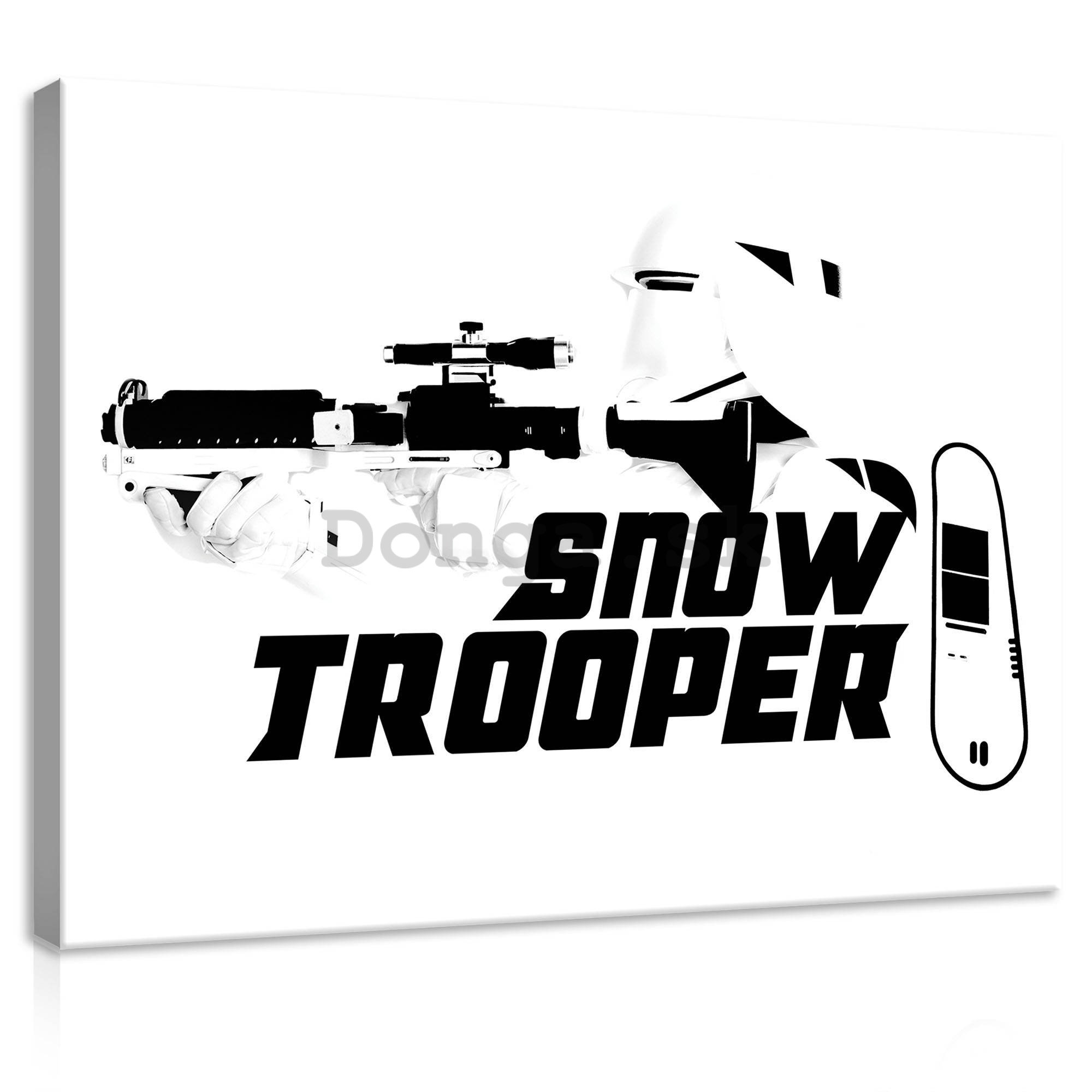 Obraz na plátne: Star Wars Snow Trooper - 100x75 cm