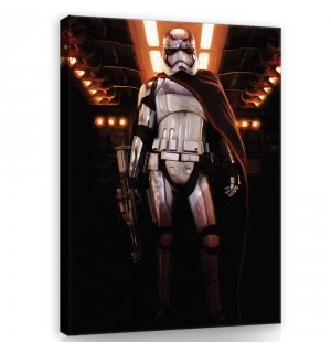 Obraz na plátne: Star Wars Captain Phasma (1) - 75x100 cm