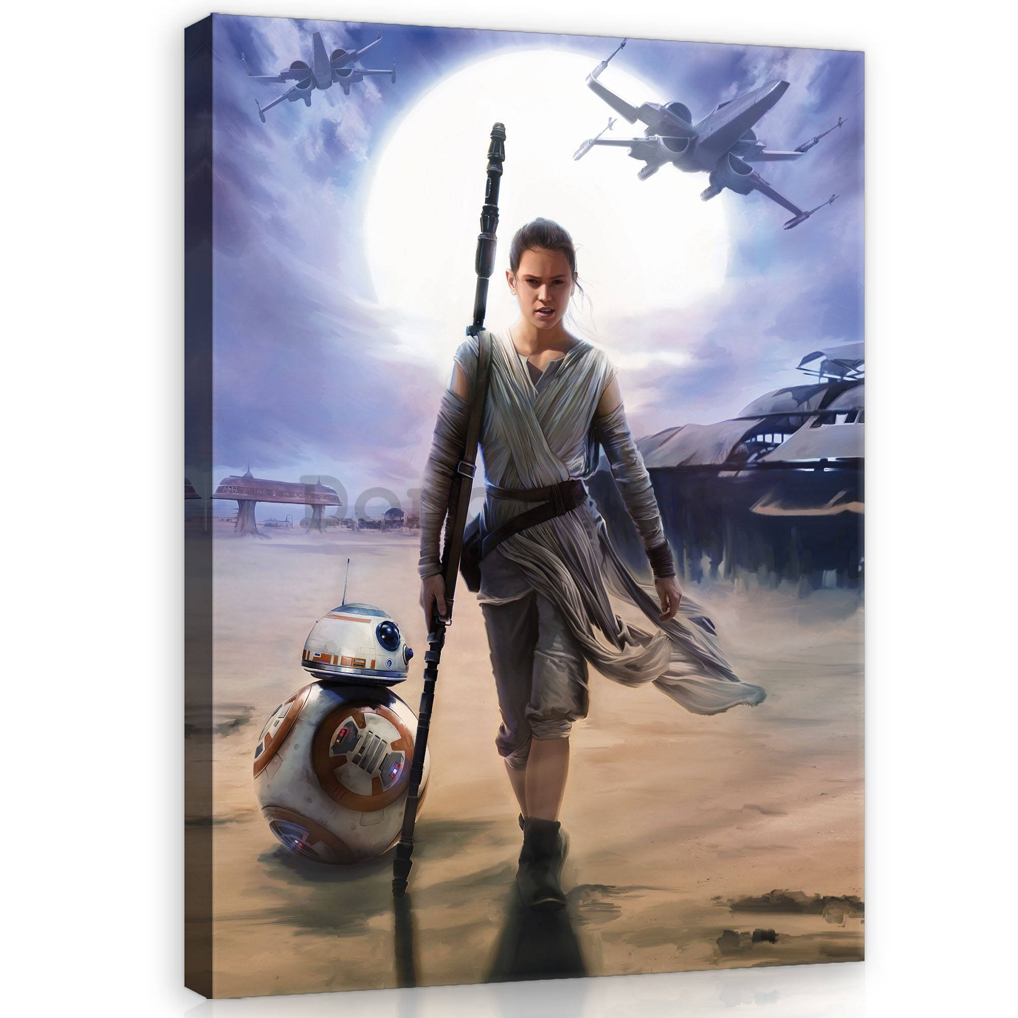 Obraz na plátne: Star Wars Rey - 100x75 cm