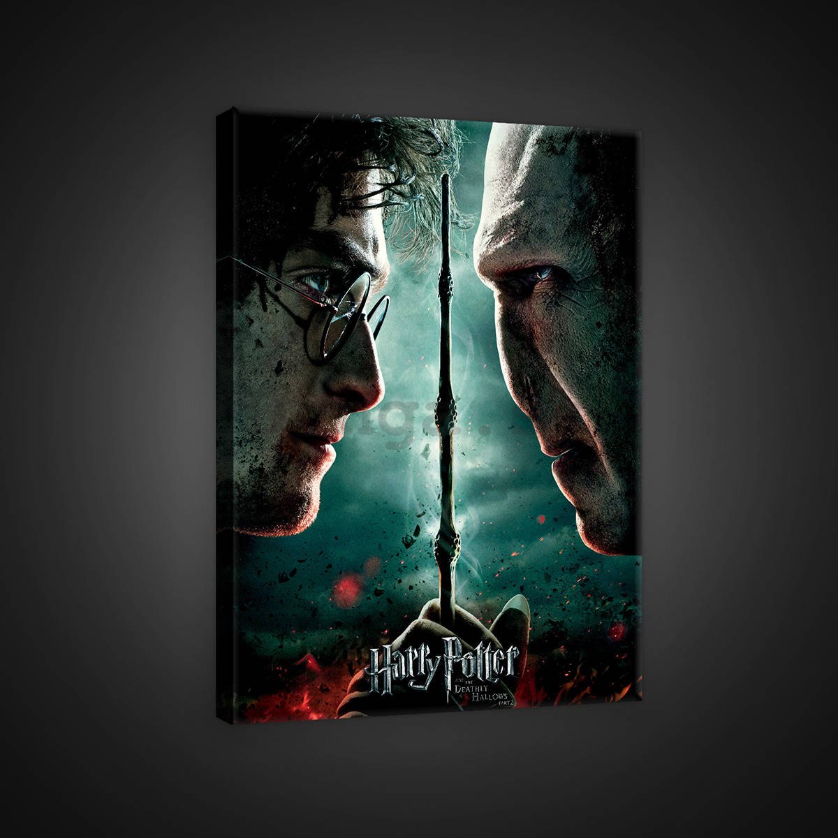 Obraz na plátne: Harry Potter and Deathly Hallows Part 3 - 75x100 cm