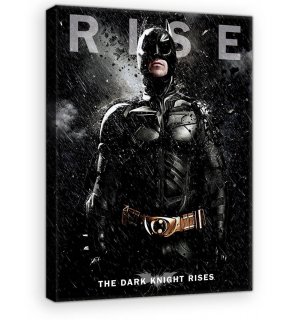 Obraz na plátne: The Dark Knight Rises - 75x100 cm