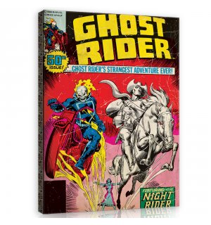 Obraz na plátne: Ghost Rider (comics) - 60x80 cm
