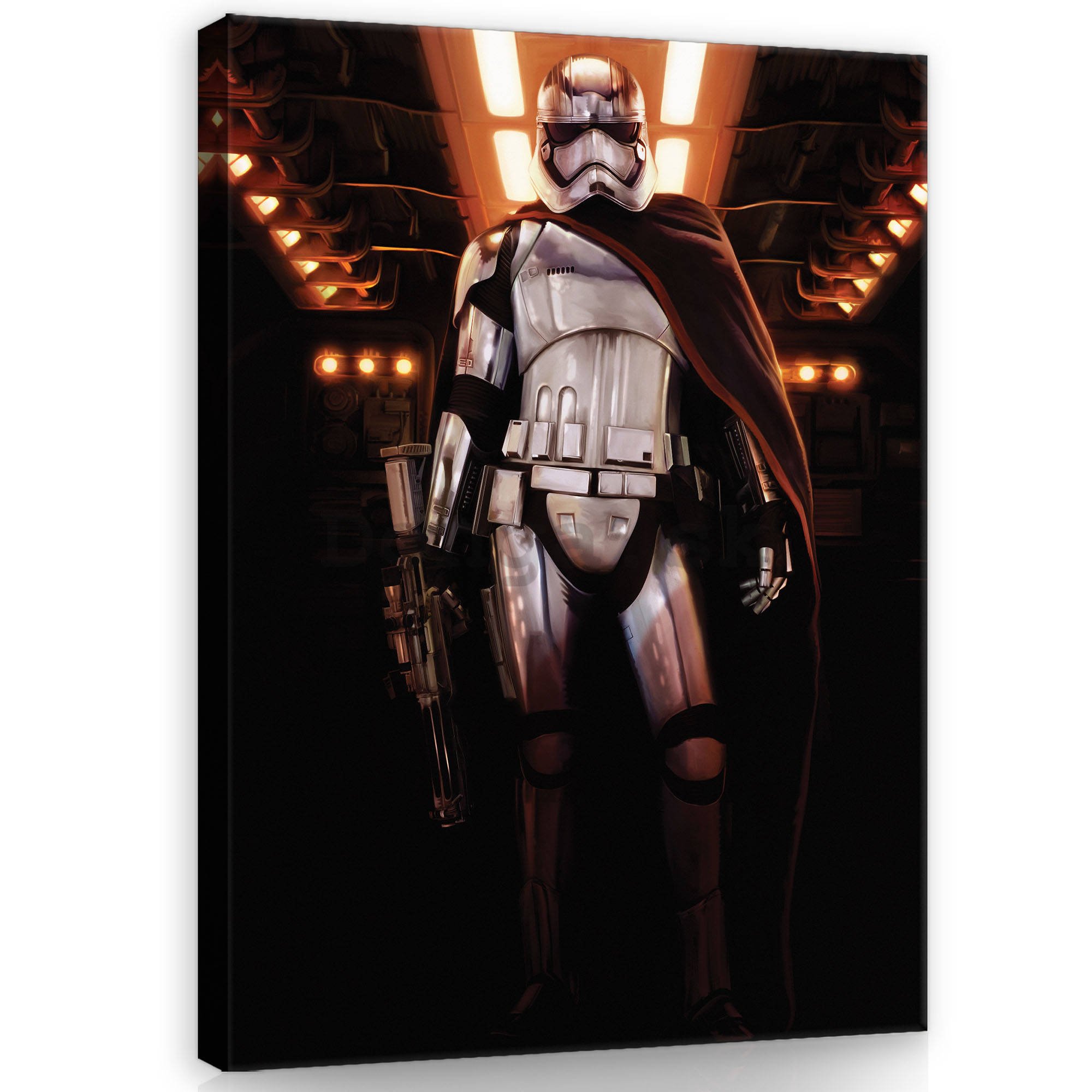 Obraz na plátne: Star Wars Captain Phasma (1) - 60x80 cm