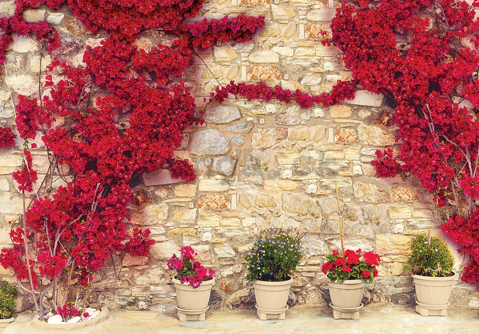 Fototapeta vliesová: Červená květinová zeď (2) - 254x184 cm