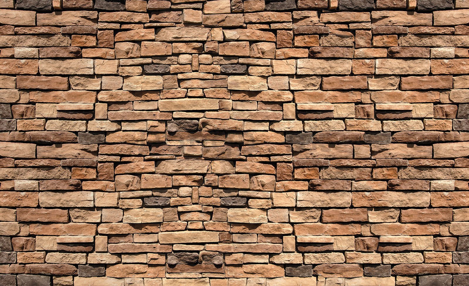 Fototapeta vliesová: Kamenná stěna (1) - 416x254 cm
