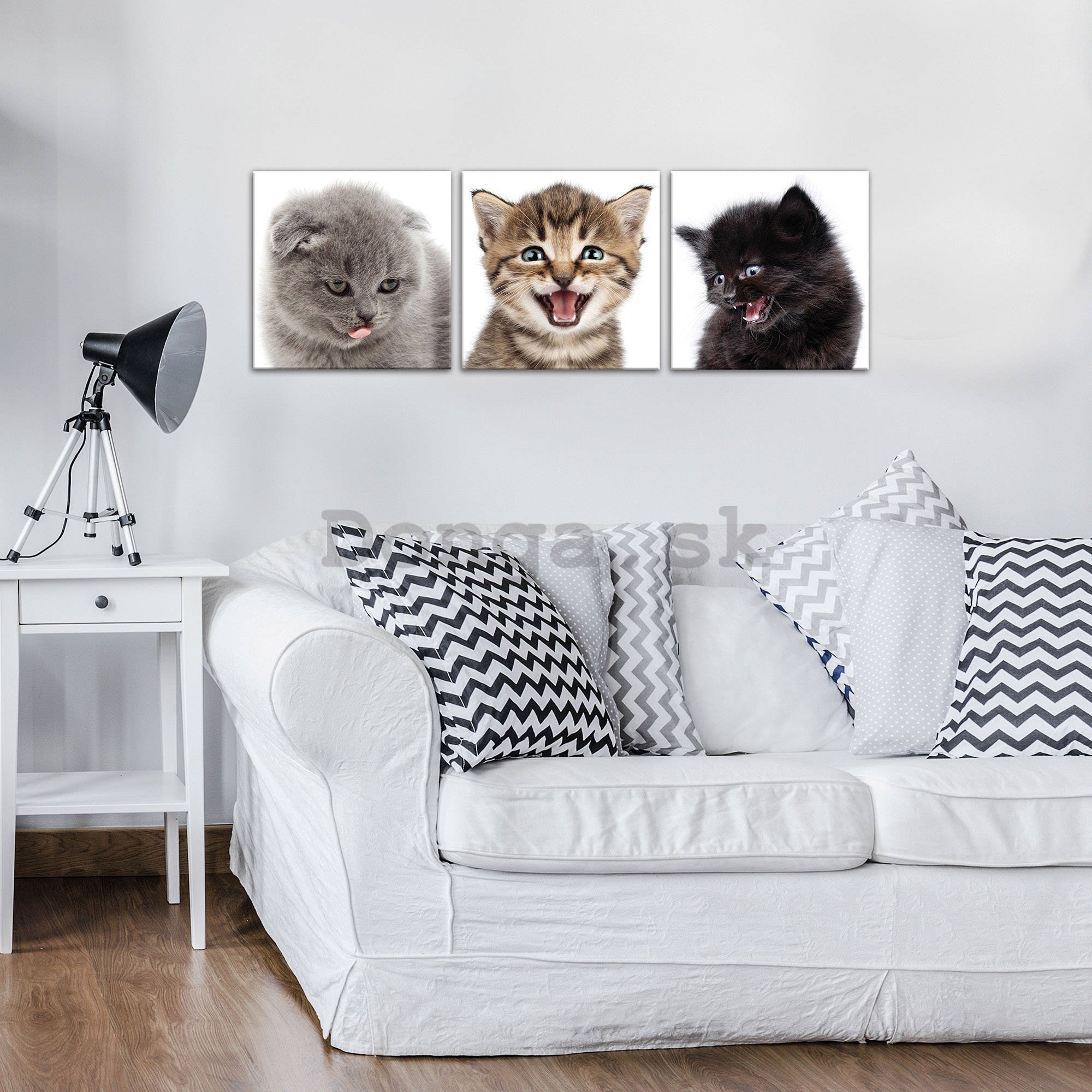 Obraz na plátne: Mačiatka (1) - set 3ks 25x25cm