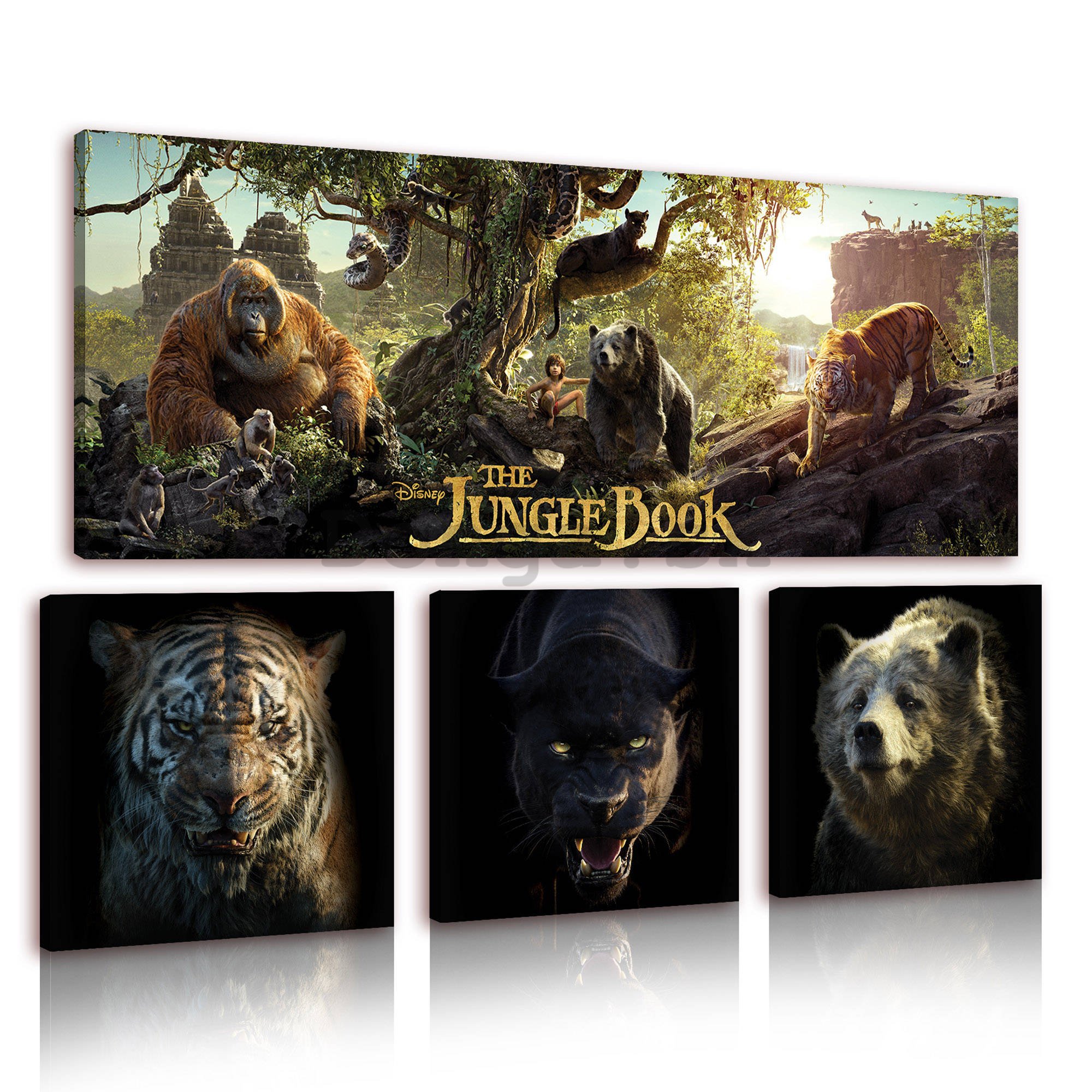 Obraz na plátne: Kniha džunglí - set 1ks 80x30 cm a 3ks 25,8x24,8 cm