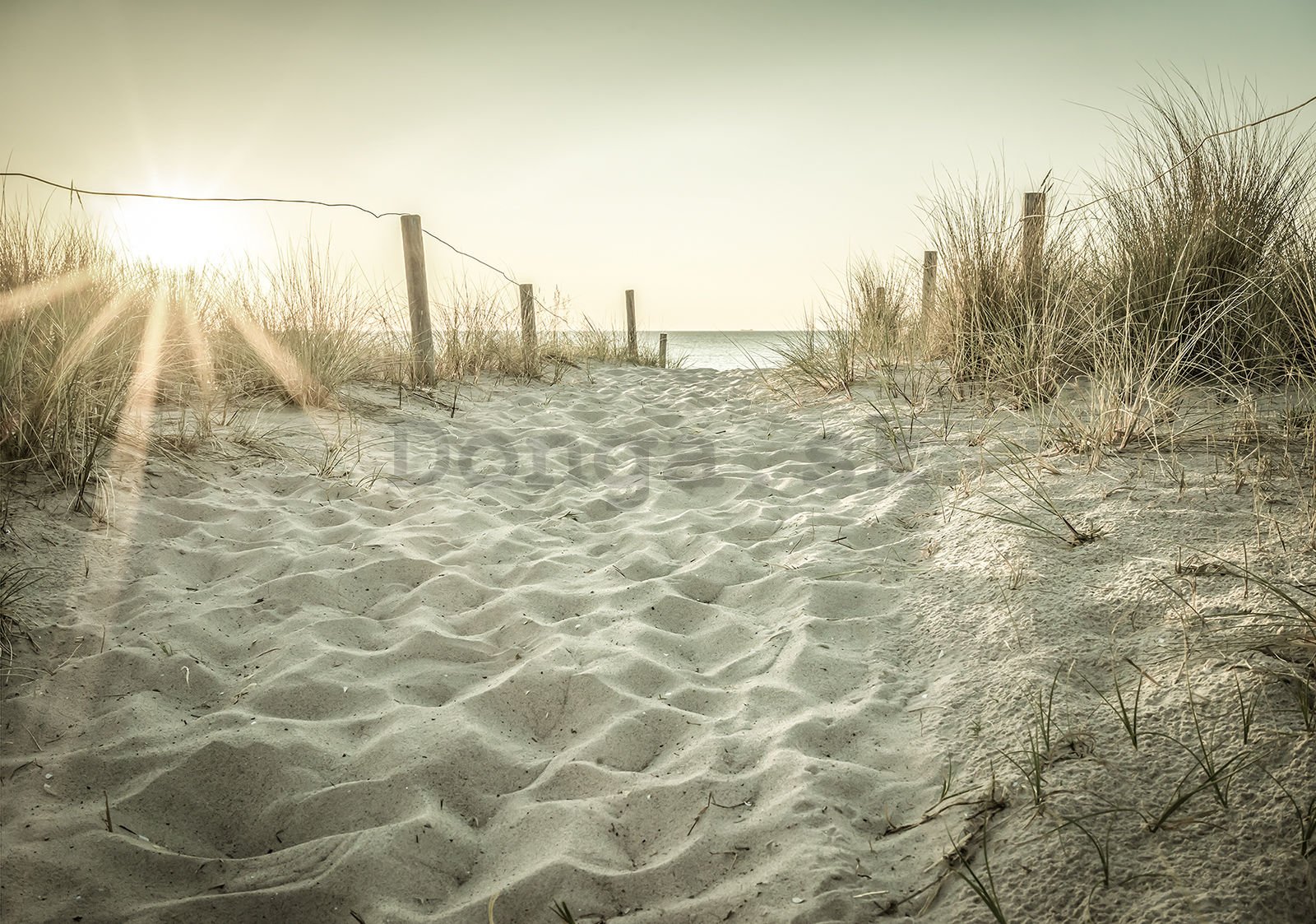 Fototapeta vliesová: Piesočnatá pláž (3) - 104x70,5 cm