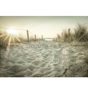 Fototapeta vliesová: Piesočnatá pláž (3) - 104x70,5 cm