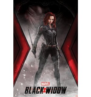 Plagát - Black Widow (Widowmaker Battle Stance)