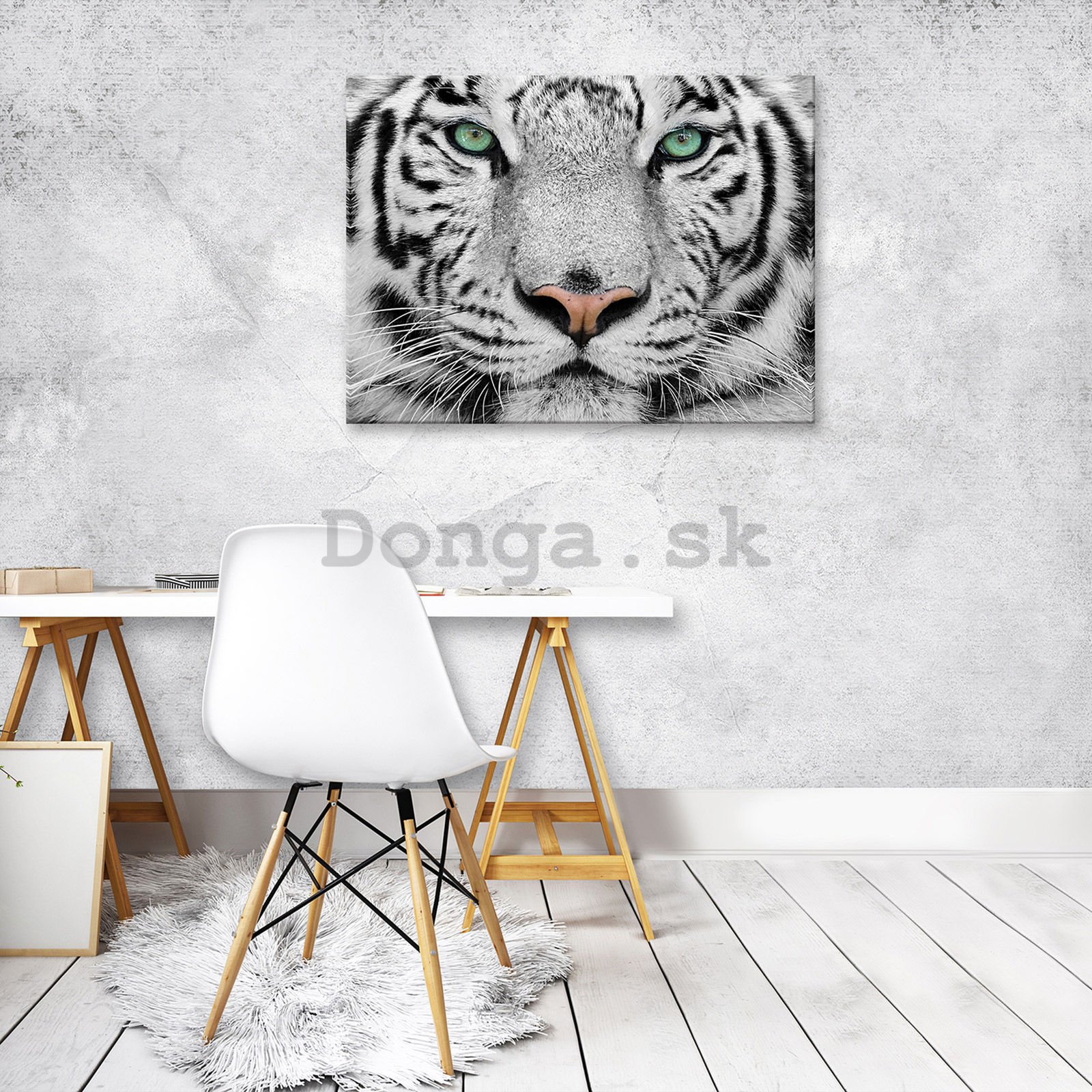 Obraz na plátne: Biely tiger - 80x60 cm