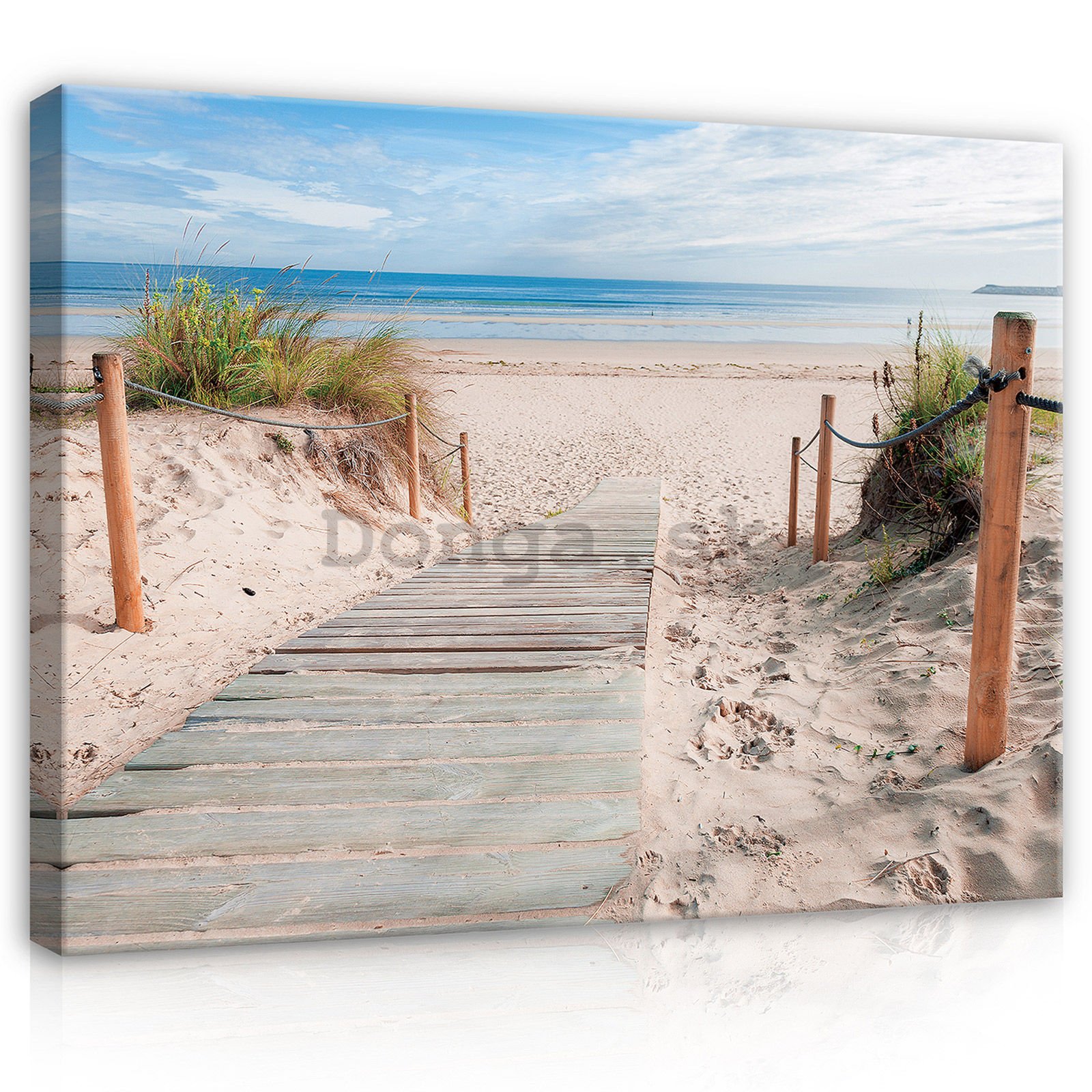 Obraz na plátne: Pláž (3) - 80x60 cm