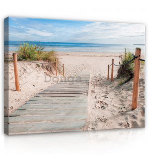 Obraz na plátne: Pláž (3) - 80x60 cm