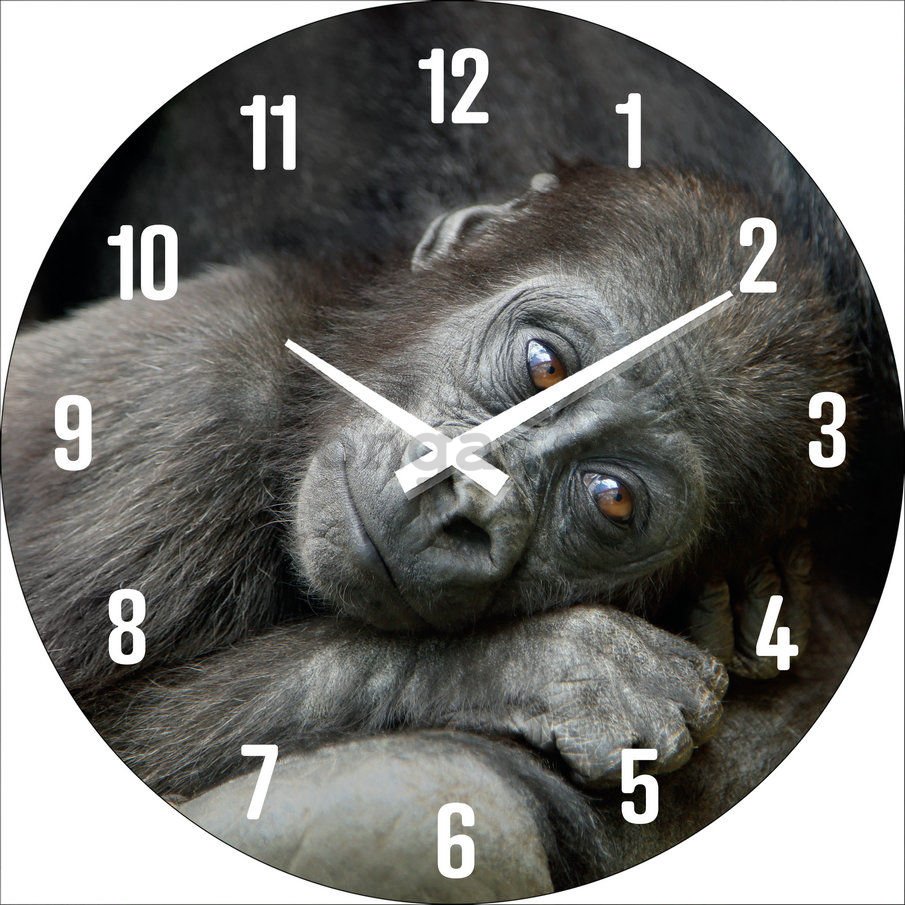 Nástenné sklenené hodiny: Mláďatko gorily - 30 cm