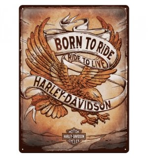 Plechová ceduľa: Harley-Davidson Born to Ride Ride to Live - 30x40 cm