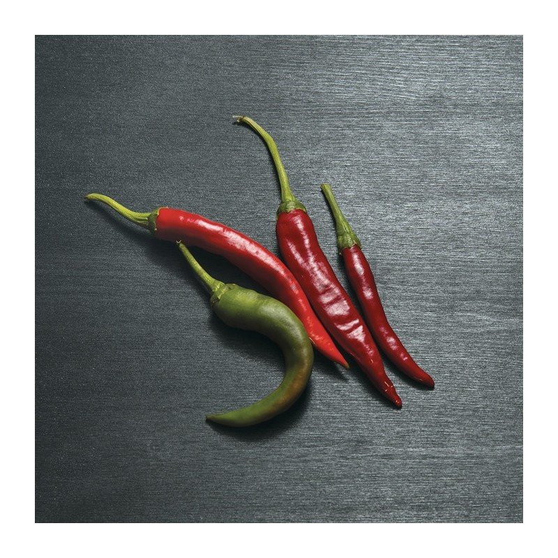 Obraz na plátne: Chilli papričky - 30x30 cm