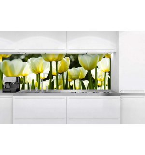 Samolepiaca umývateľná fotofototapeta za kuchynskú linku - Biele tulipány, 180x60 cm