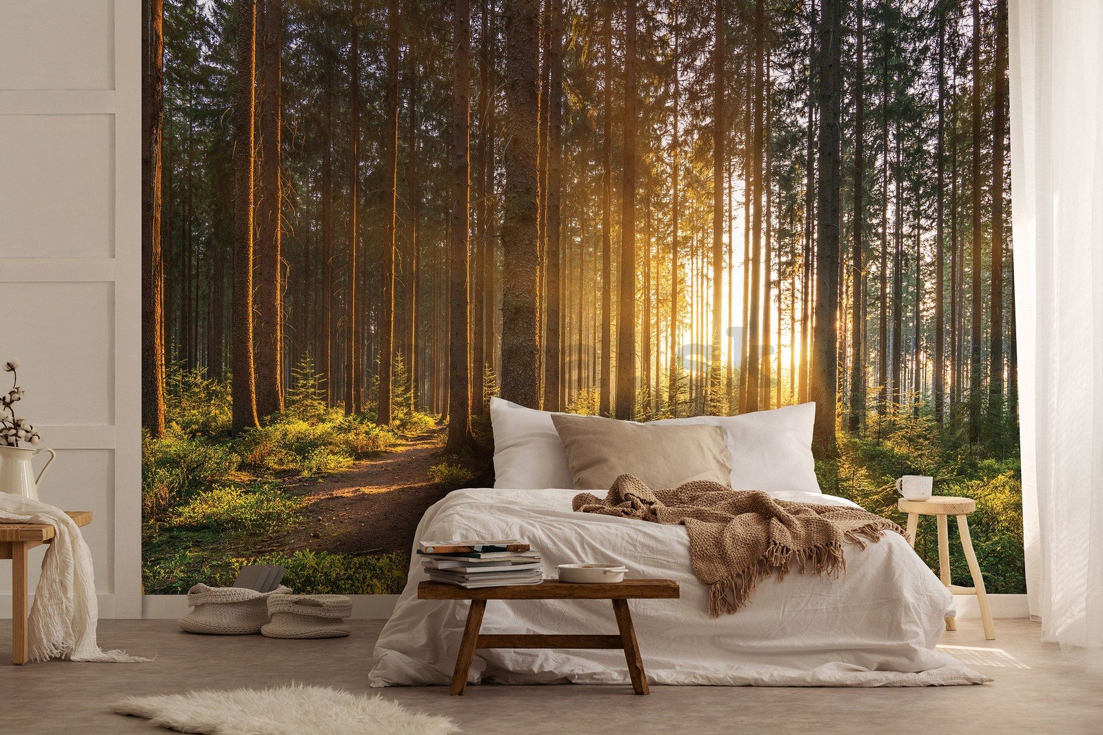 Fototapeta vliesová: Západ slunce v lese (2) - 254x184 cm