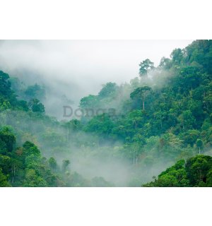 Fototapeta vliesová: Deštný prales - 152,5x104 cm