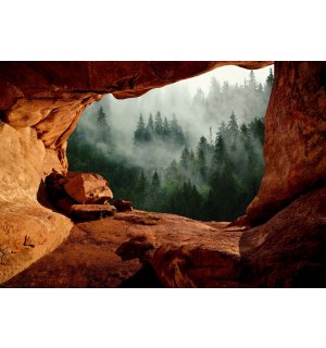 Fototapeta vliesová: Jeskyně u lesa - 416x254 cm